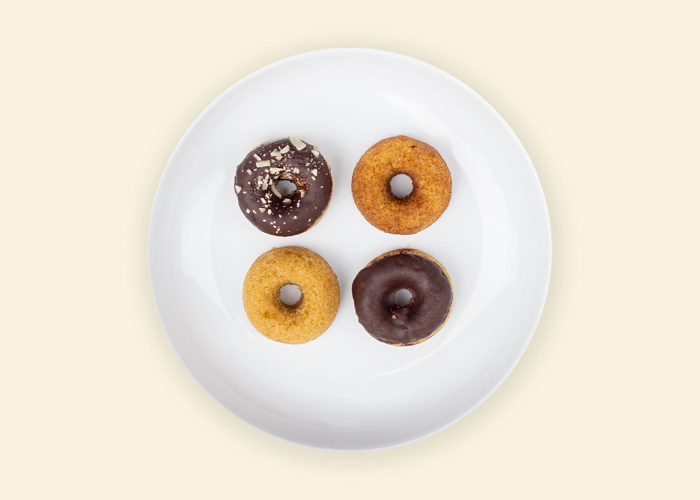mini-donuts-Otter_8e1b0efa-72c2-413f-91ed-9c16474defc3