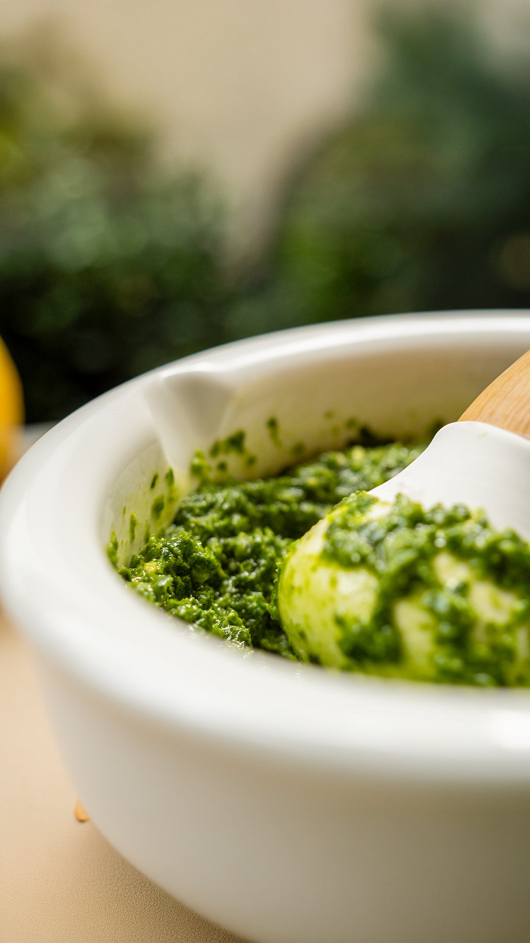 pesto-reel.jpg